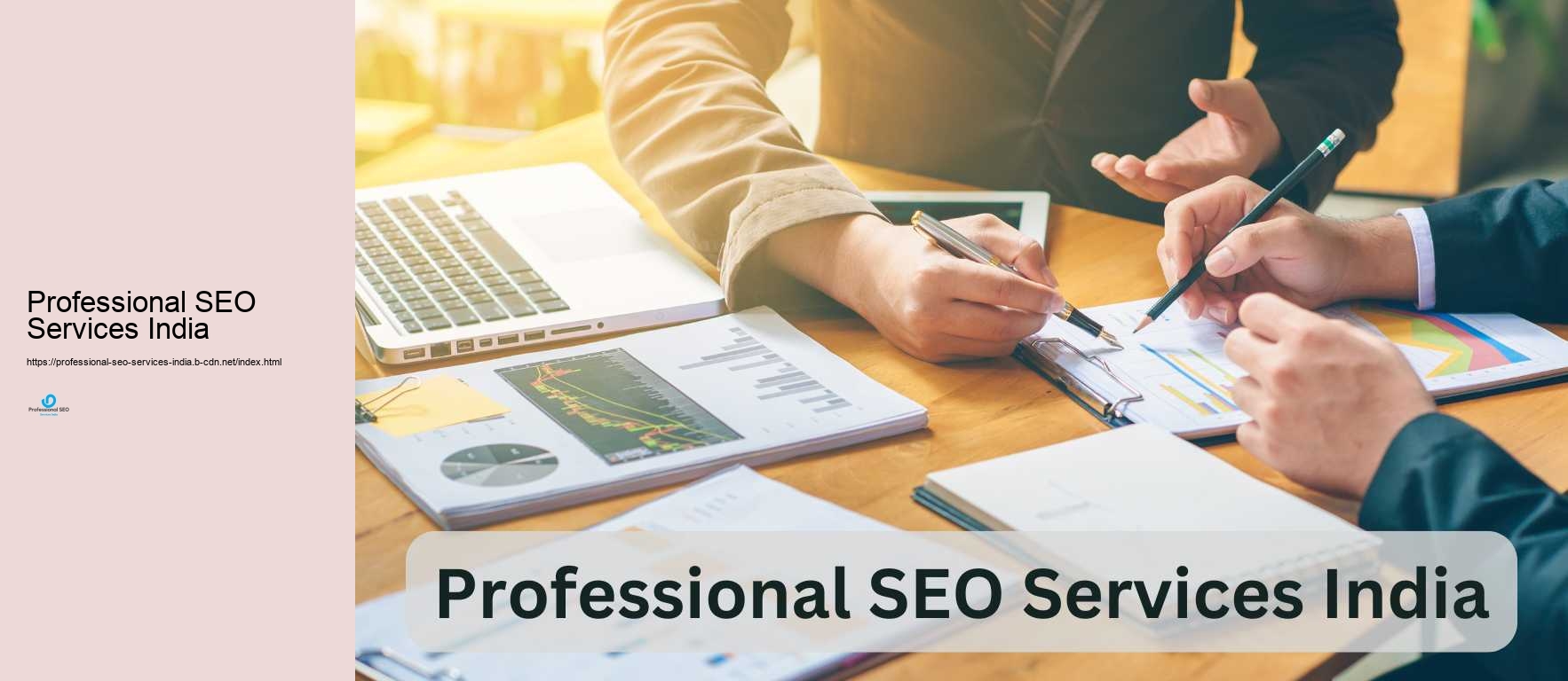 Professional SEO Services India