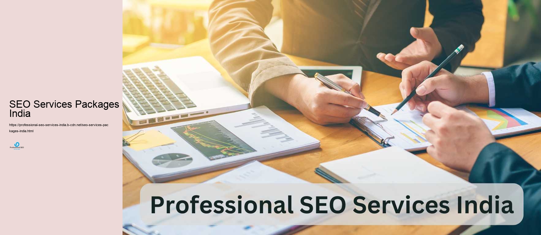 SEO Services Packages India